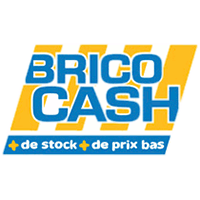 Brico Cash