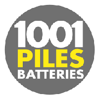 1001 piles