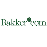 Bakker