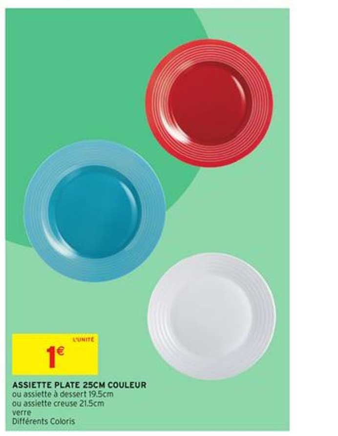 assiette plate 25cm couleur