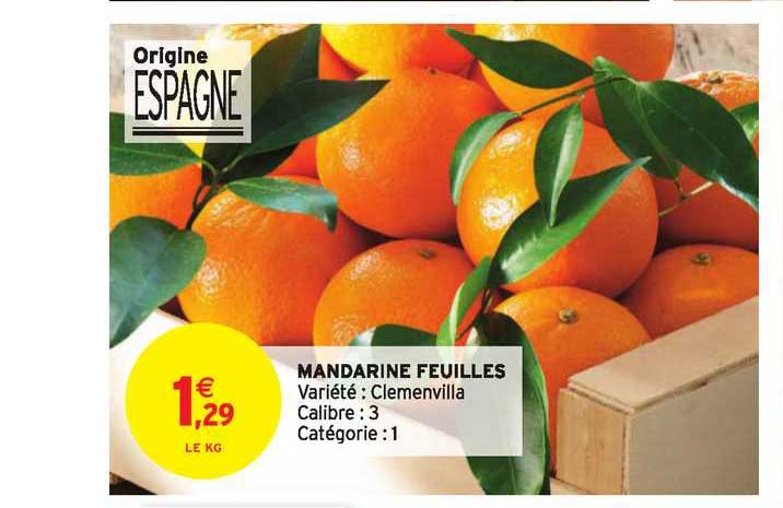 Mandarine Feuilles