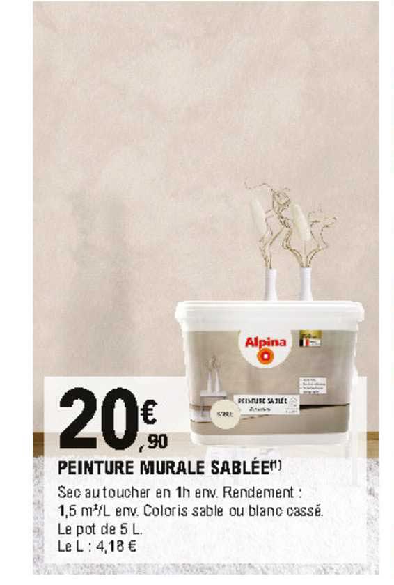 peinture murale sablée alpina