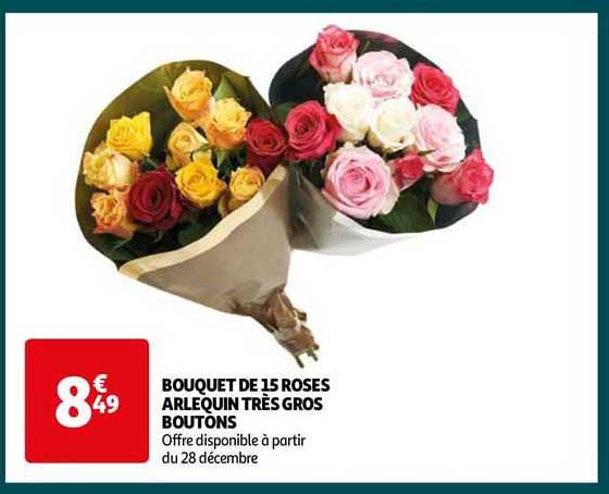 bouquet de 15 roses arlequin très gros bouton