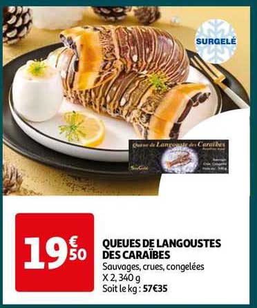 queue de langouste des caraïbes
