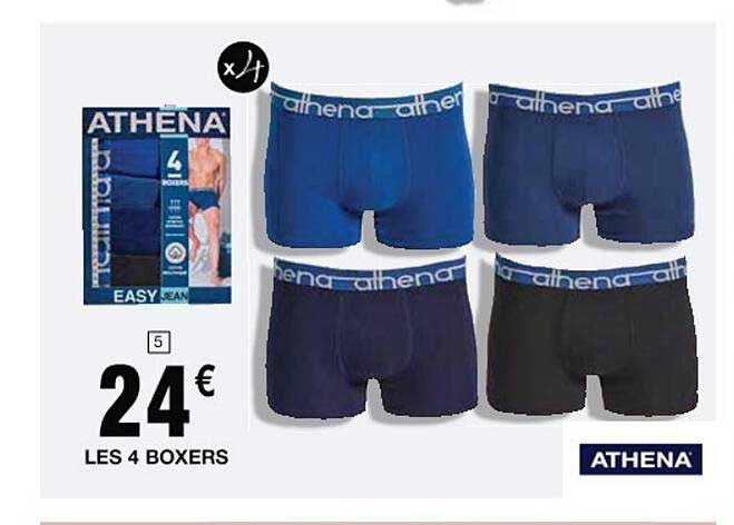 Les 4 Boxers Athena