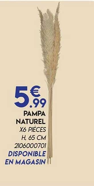 pampa naturel