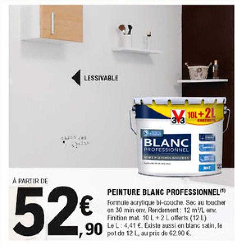 Peinture Blanc Professionnel