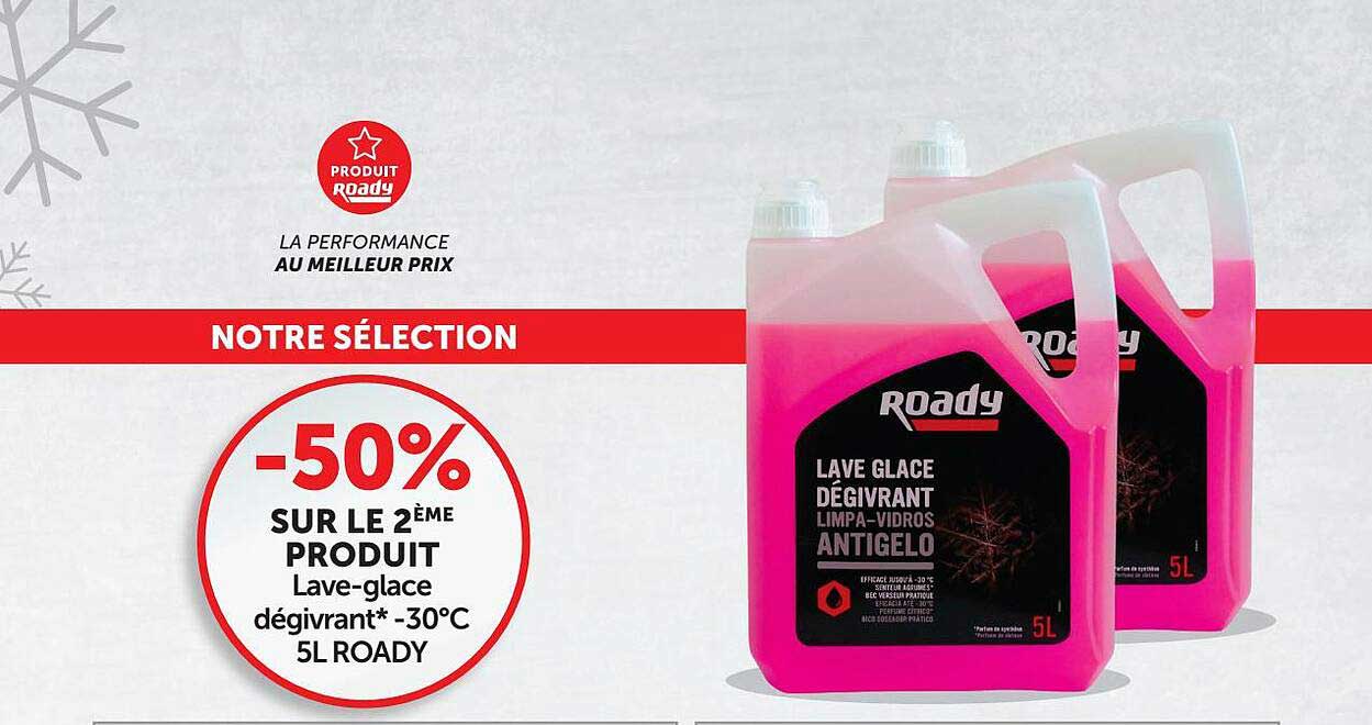 lave-glace dégivrant -30°c 5l roady
