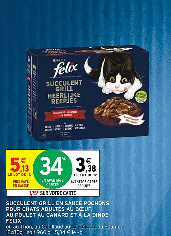 succulent grill en sauce pochons pour chats adultes au bœuf, au poulet au canard et à la dinde felix