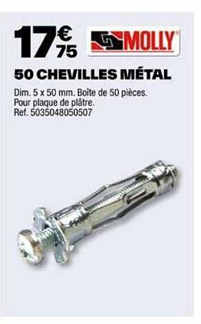 500 chevilles métal molly