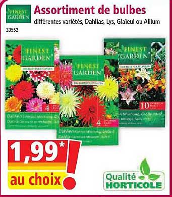 Assortiment De Bulbes Finest Garden