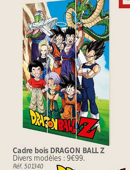 Cadre Bois Dragon Ball Z