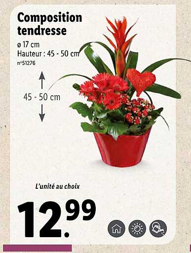 composition tendresse