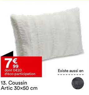 coussin artic 30x50 cm