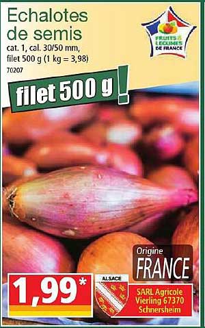 echalotes de semis