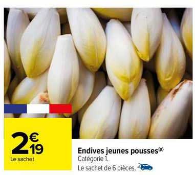endives jeunes pousses