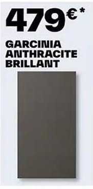 garcinia anthracite brillant
