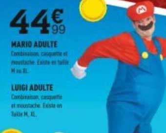 mario adulte luigi adulte