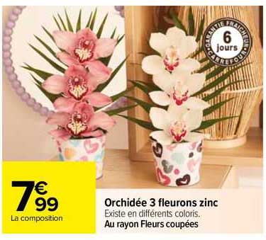 orchidée 3 fleurons zinc