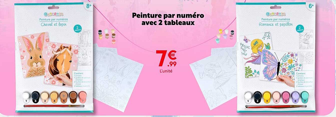 peinture par numéro avec 2 tableaux