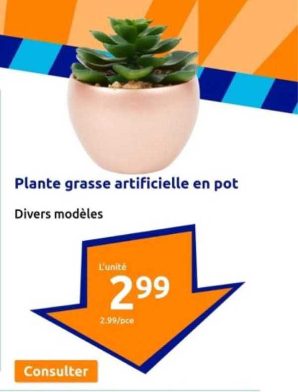 plante grasse artificielle en pot