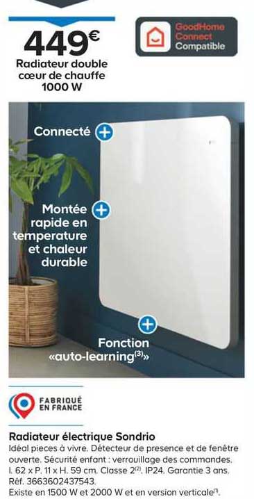 radiateur double cœur de chauffe 1000 w électrique sondrio