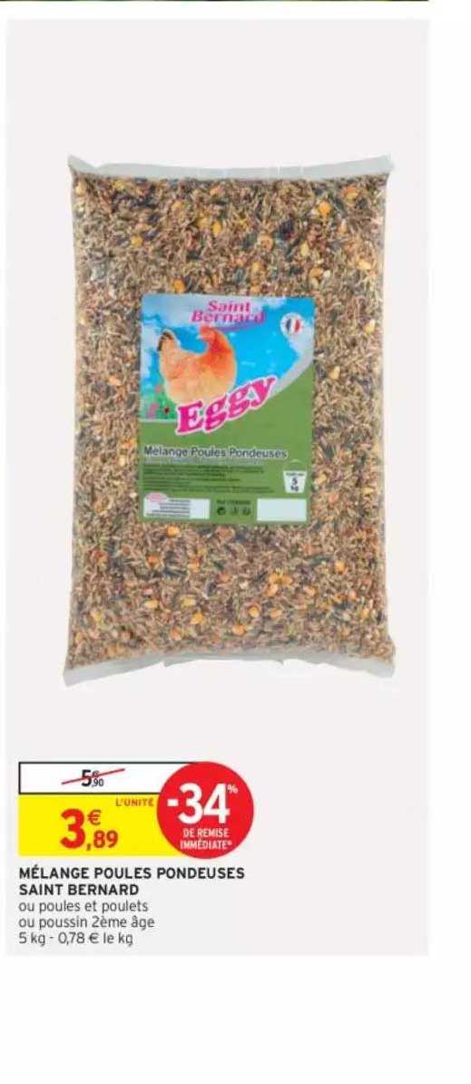 mélange poules pondeuses saint bernard