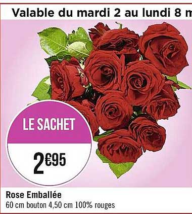 rose emballée