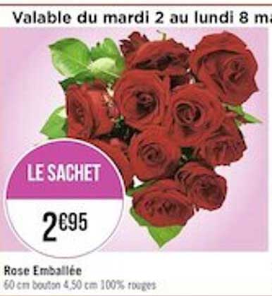 Rose Emballée