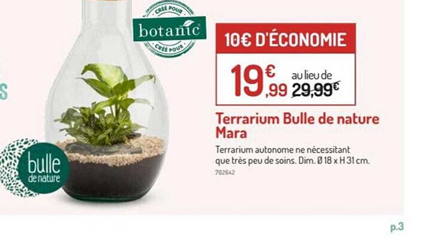 Terrarium Bulle De Nature Mara