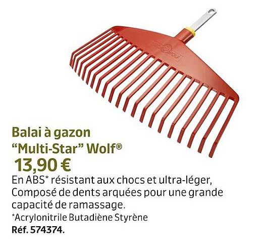 balai à gazon "multi-star" wolf