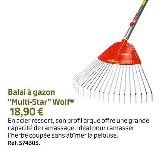 balai à gazon "multi-star" wolf