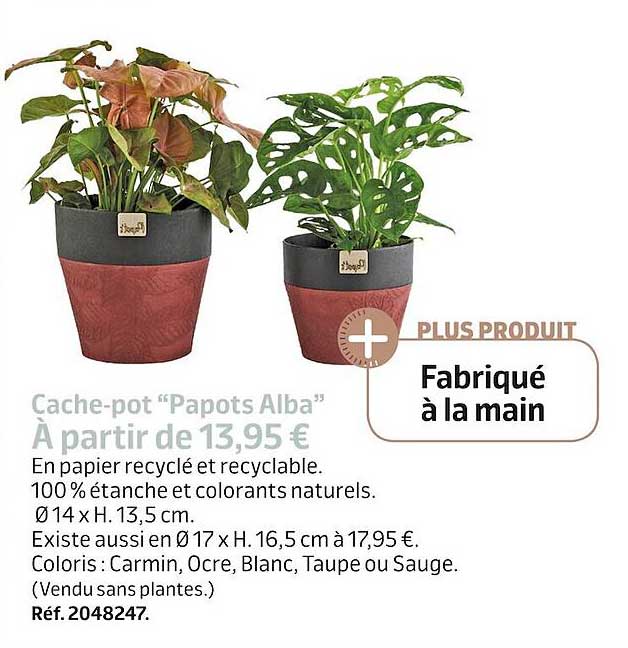cache-pot "papots alba"