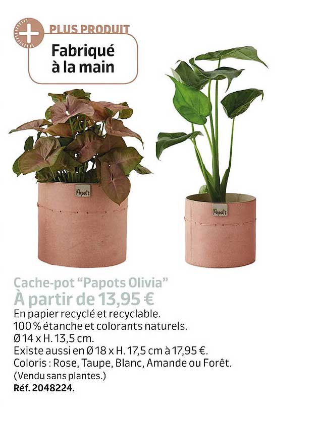 cache-pot "papots olivia"