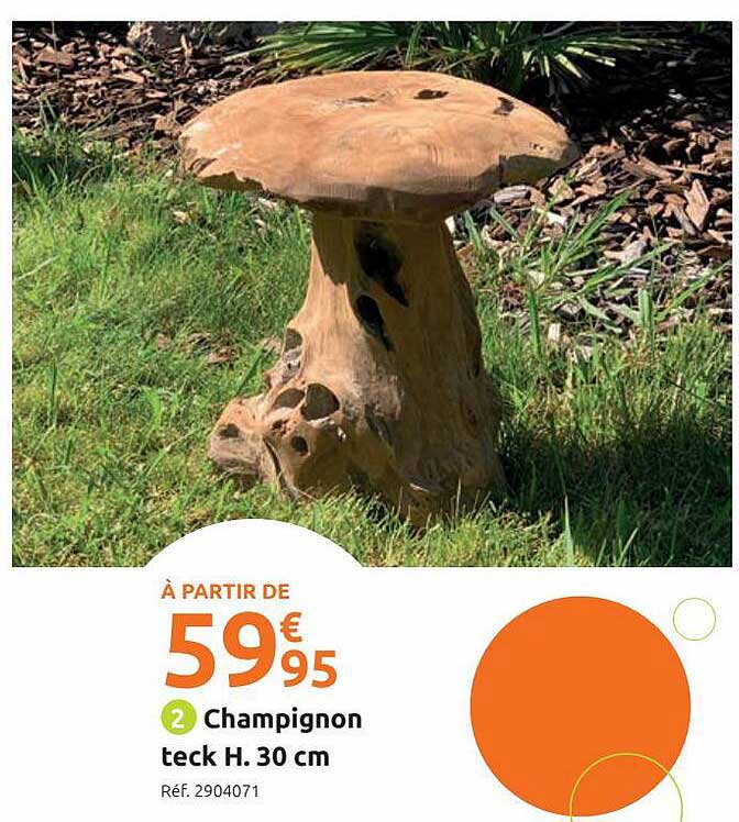 champignon teck h. 30 cm