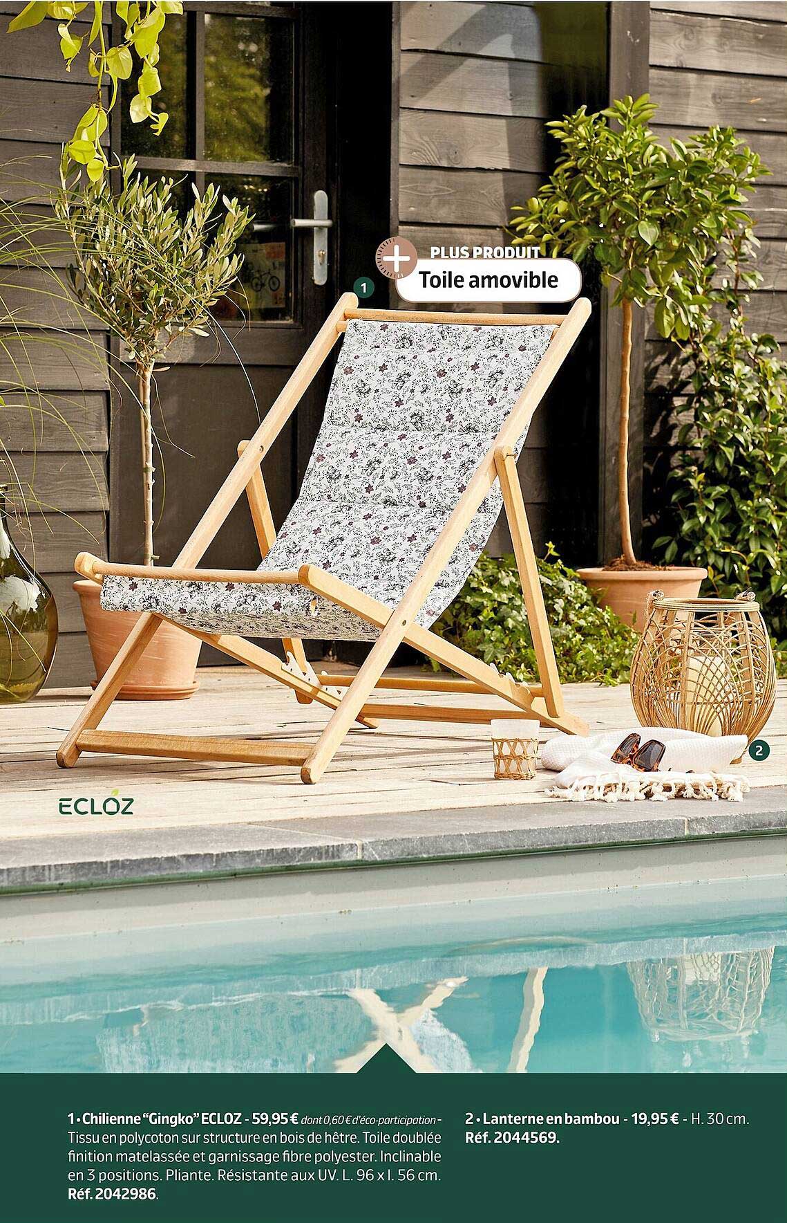 Chilienne "gingko" Ecloz