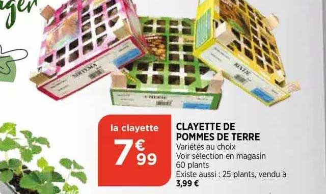 clayette de pommes de terre