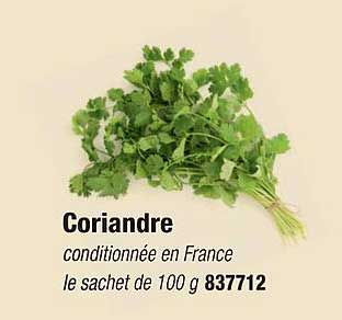 Coriandre
