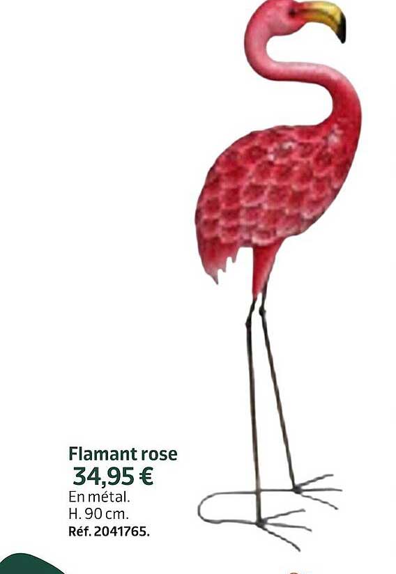 flamant rose