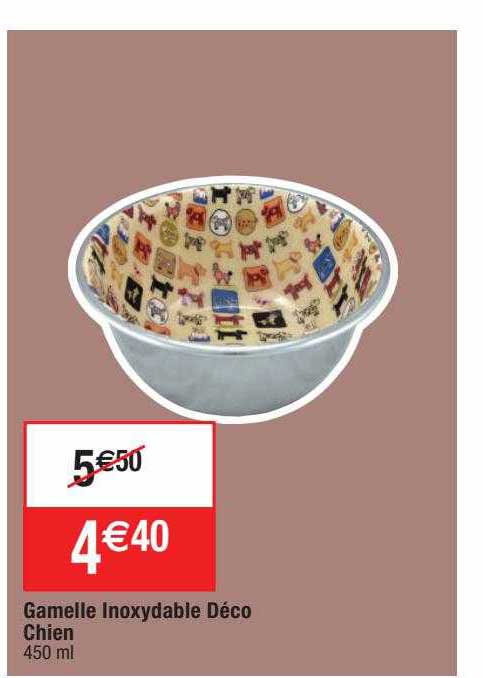 gamelle inoxydable déco chien