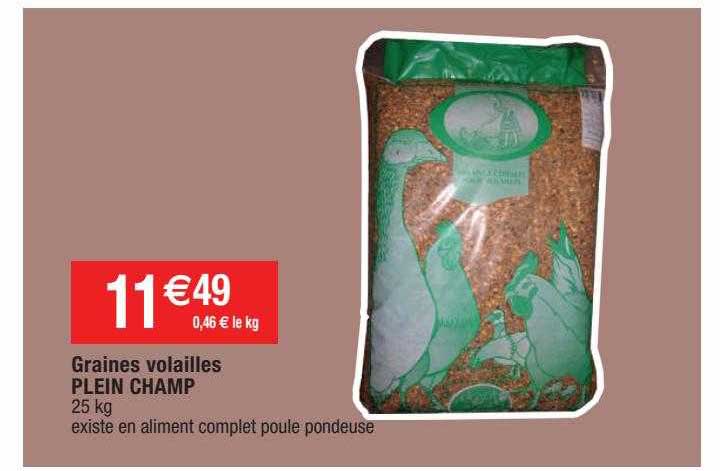 graines volailles plein champ