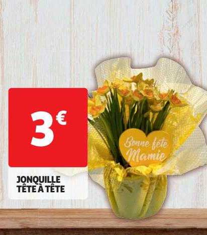 Jonquille Tête à Tête
