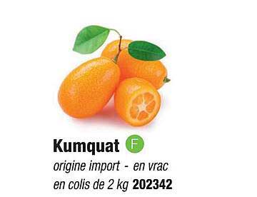 kumquat
