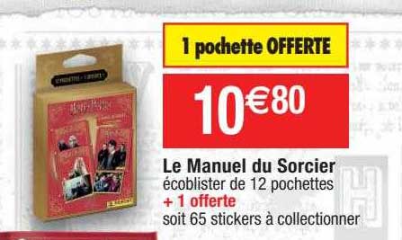 le manuel du sorcier
