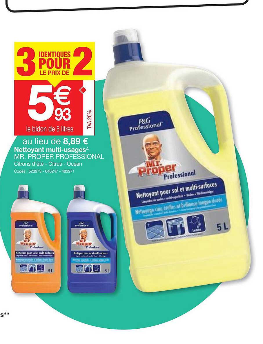 nettoyant multi-usages mr. proper professional