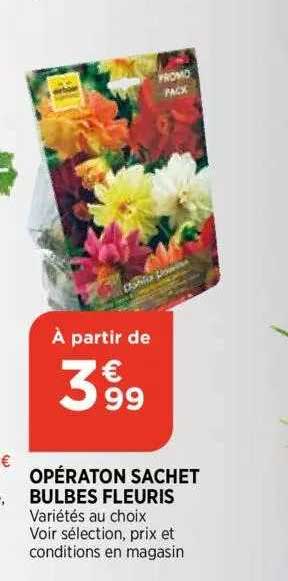 opération sachet bulbes fleuris