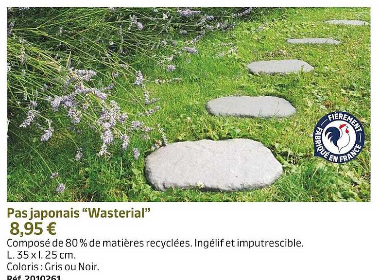 pas japonais "wasterial"