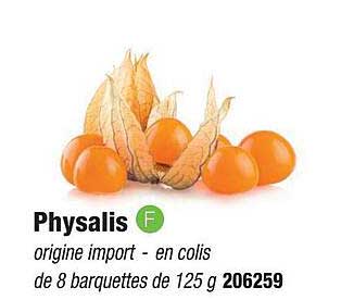 physalis
