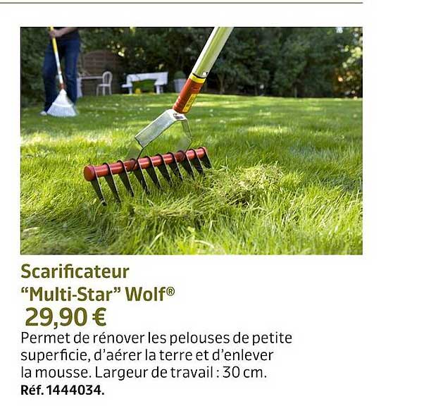 scarificateur "multi-star" wolf