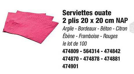 serviettes ouate 2 plis 20 x 20 cm nap